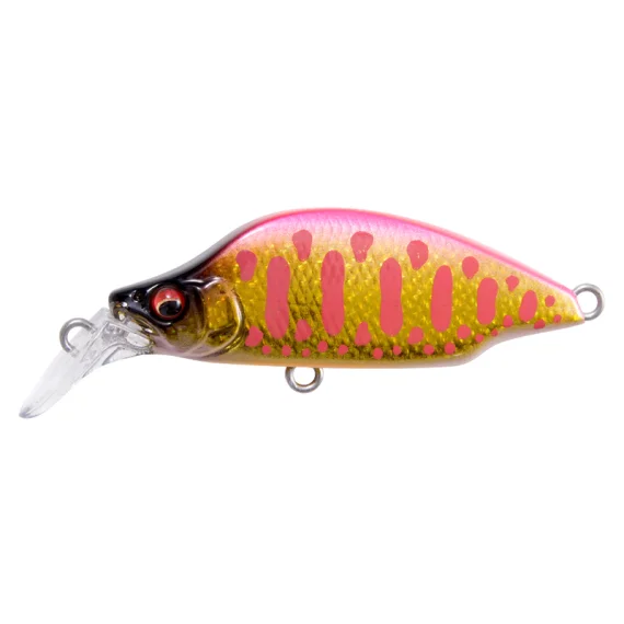 sportfishtackle202606040256132603038