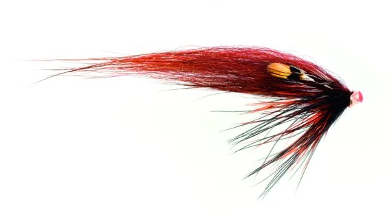 sportfishtackle202606040301472604010