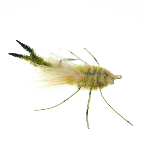 sportfishtackle202606040316122606592