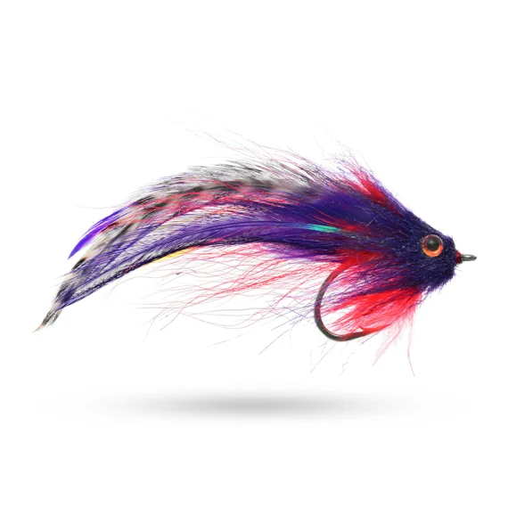 sportfishtackle202606040316312606639