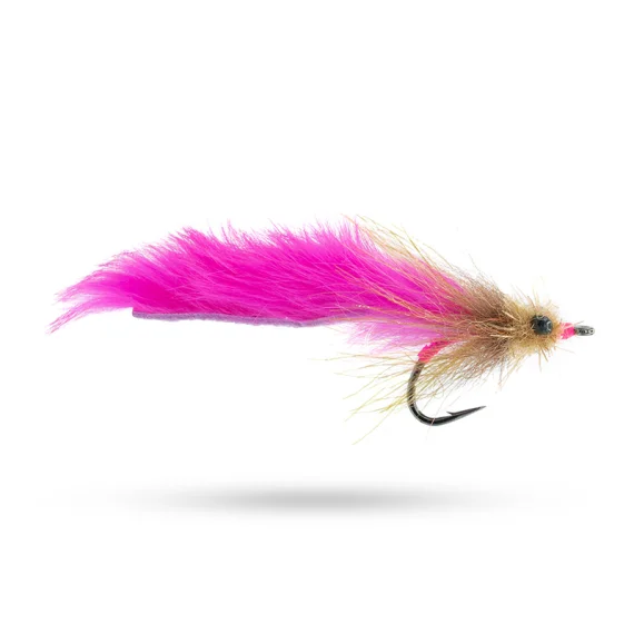 sportfishtackle202606040317502606865
