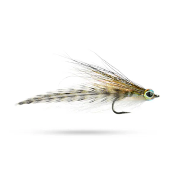 sportfishtackle202606040318142606933