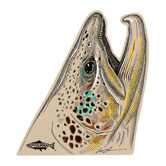 sportfishtackle202606040319002607067