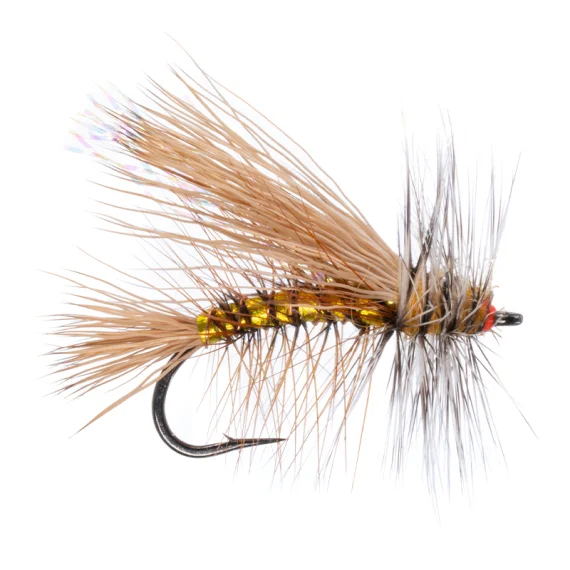 sportfishtackle202606040321262607483