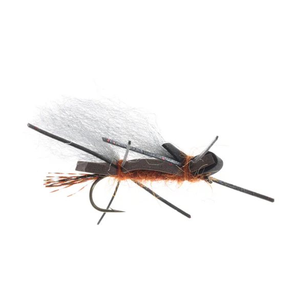 sportfishtackle202606040321492607551