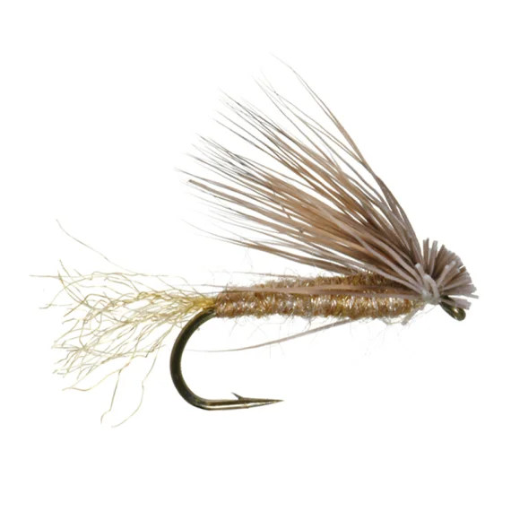 sportfishtackle202606040321542607563