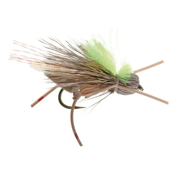sportfishtackle202606040322012607583