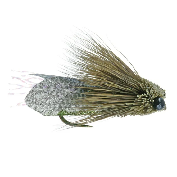 sportfishtackle202606040322032607589