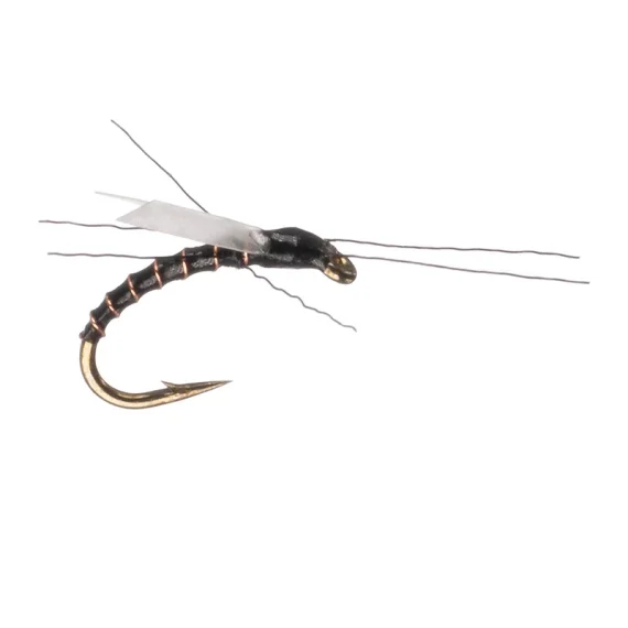 sportfishtackle202606040323072607779