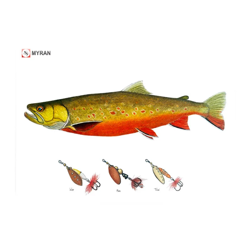 sportfishtackle202606040323392607871