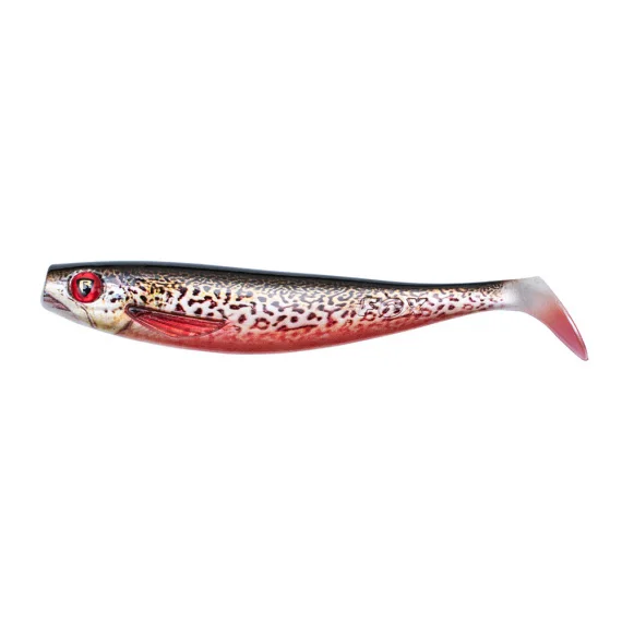 sportfishtackle202606040326002608281