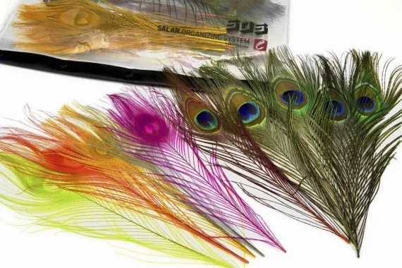 sportfishtackle202606040342162610940