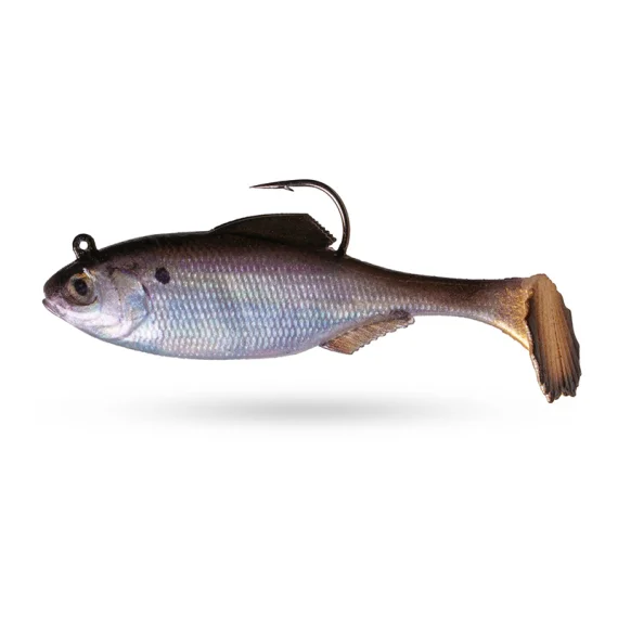 sportfishtackle202606040351242612425