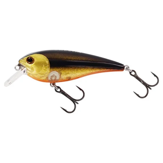 sportfishtackle202606040353532612824