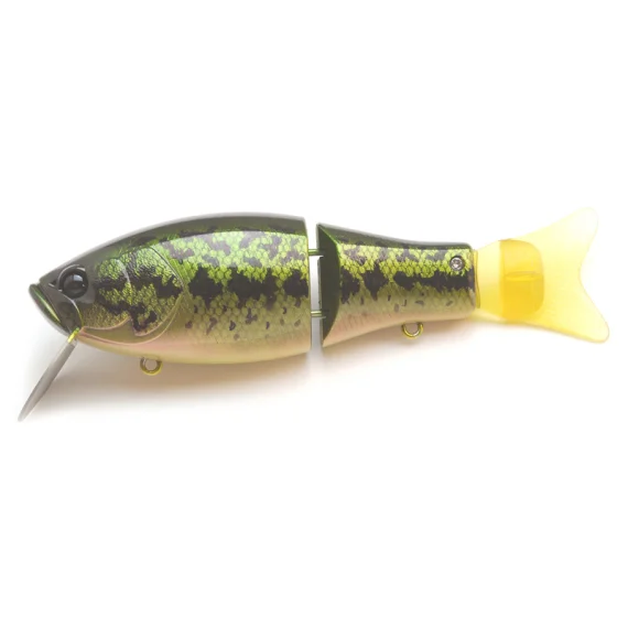 sportfishtackle202606040357282613399