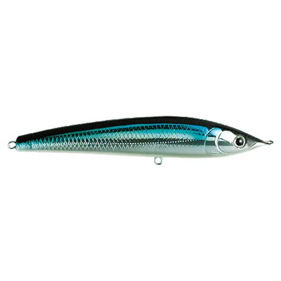 sportfishtackle202606040357552613473