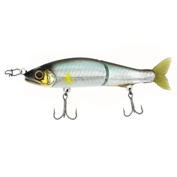 sportfishtackle202606040501252623633