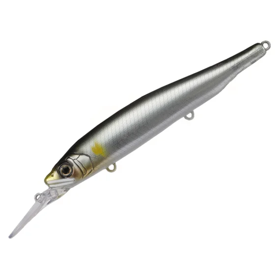 sportfishtackle202606040501292623644