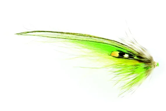 sportfishtackle202606040503272623935