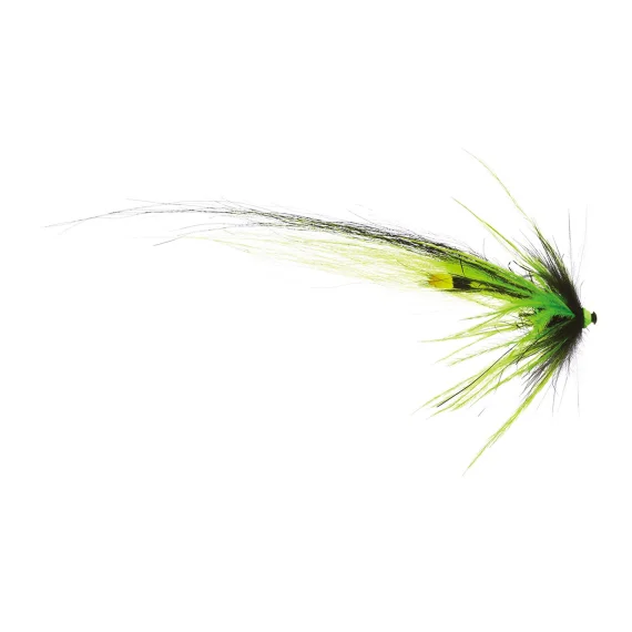 sportfishtackle202606040503462623986