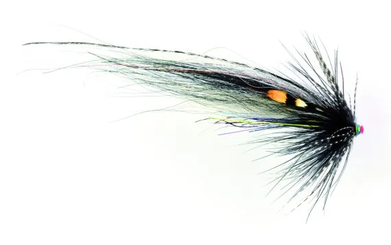 sportfishtackle202606040504052624033