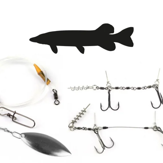 sportfishtackle202606040504202624068