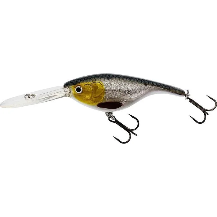 tackleshop202606031807342336177