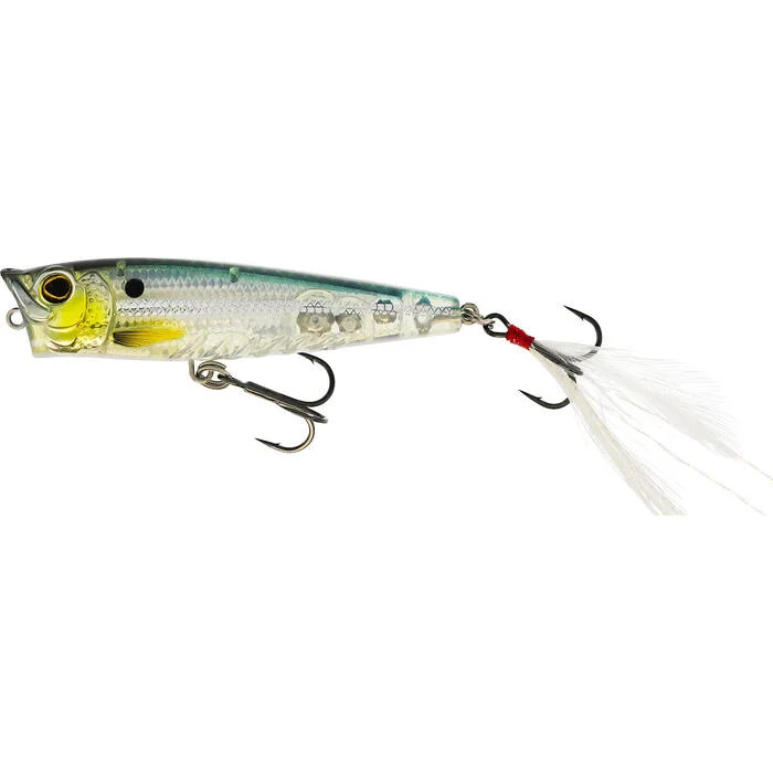 tackleshop202606031815162343071