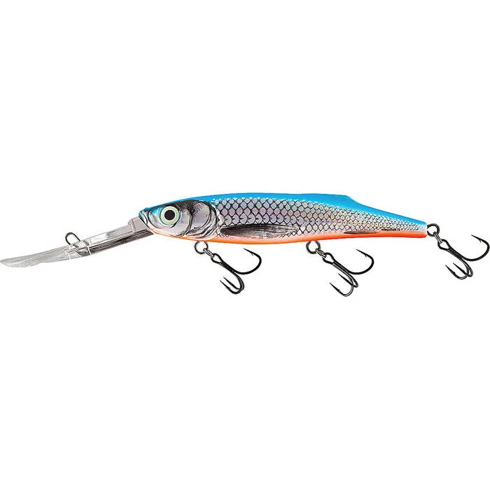 tackleshop202606031944062427781
