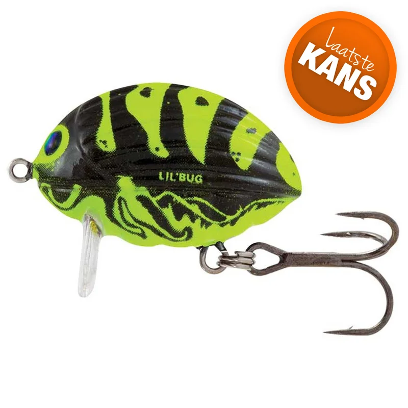 zunnebeld202606040040332568933